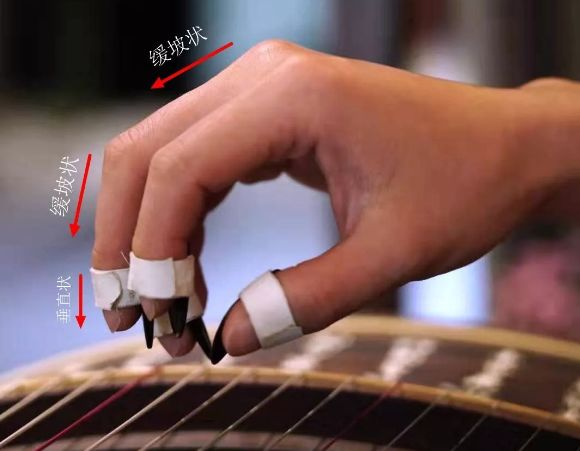 古箏基本手型示範